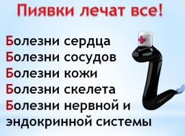 Гирудотерапия